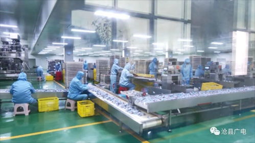 河北省農產品加工業發展大會滄縣分會場在滄州美棗王食品舉辦，物流軟件技術開發賦能產業升級